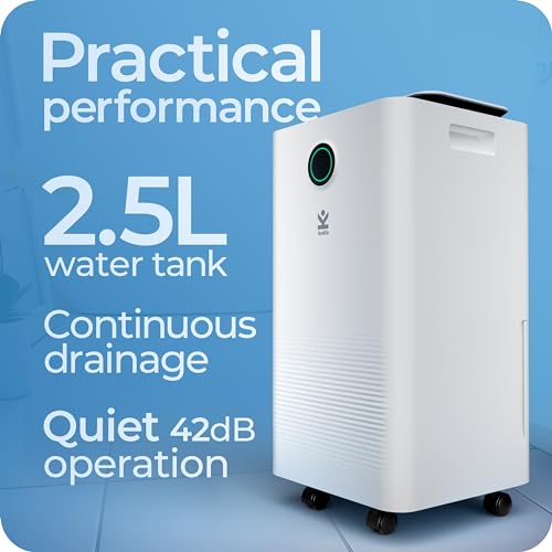 Avalla X-125 Dehumidifier for Home