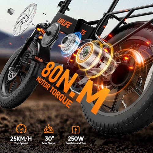 20 inch Folding Fat Tyre Electric Bike, 48V 13Ah Removable Battery, Full Suspension, 7-Speed