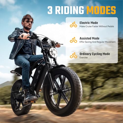20 inch Fat Tyre Electric Bike, 48V 15Ah Removable Battery, Hydraulic Suspension, 7-Speed