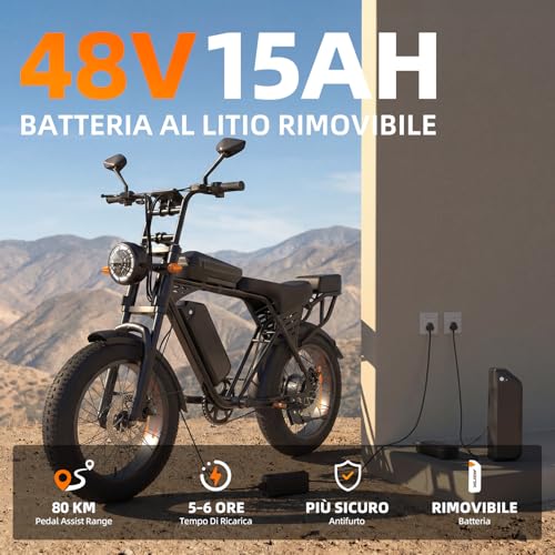 20 inch Fat Tyre Electric Bike, 48V 15Ah Removable Battery, 250W Motor, Dual Suspension