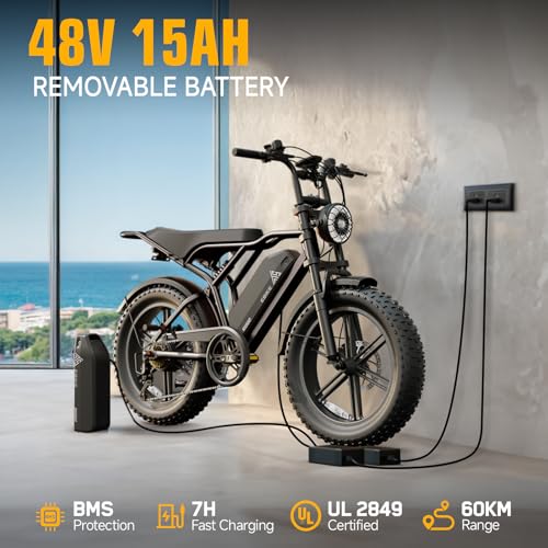 20 inch Fat Tyre Electric Bike, 48V 15Ah Removable Battery, Hydraulic Suspension, 7-Speed