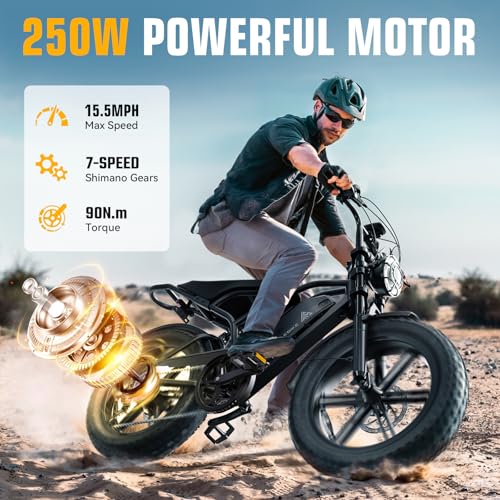20 inch Fat Tyre Electric Bike, 48V 15Ah Removable Battery, Hydraulic Suspension, 7-Speed