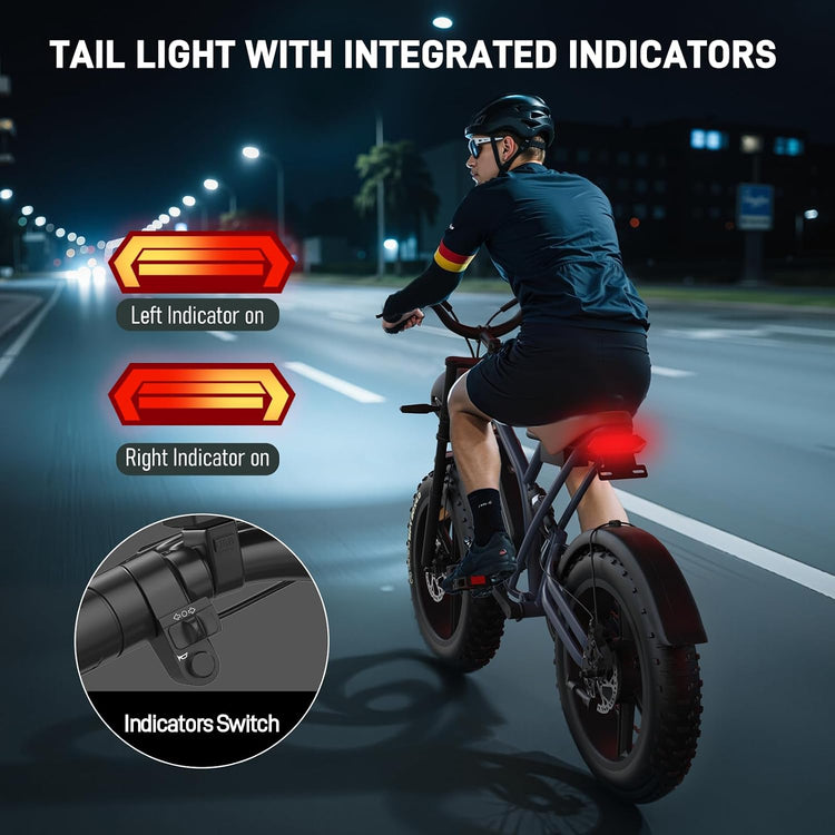 48V 17Ah Fat Tyre E-Bike for Adults, 250W Brushless Motor, Removable Battery, Full Suspension & 7-Speed