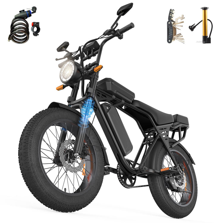 20 inch Fat Tyre Electric Bike, 48V 15Ah Removable Battery, 250W Motor, Dual Suspension