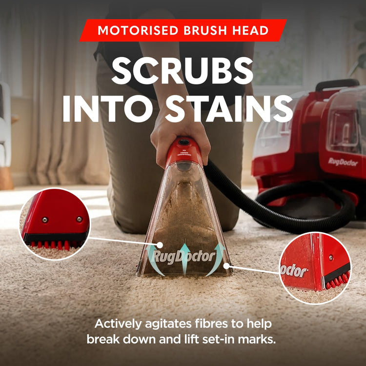 Rug Doctor Portable Spot Cleaner (1100W) | The Telegraph’s 2025 “Best Buy” - 2X Suction - Motorised Brush - Handheld Tools for Carpets, Sofas, Stairs, Cars and Soft Furnishings