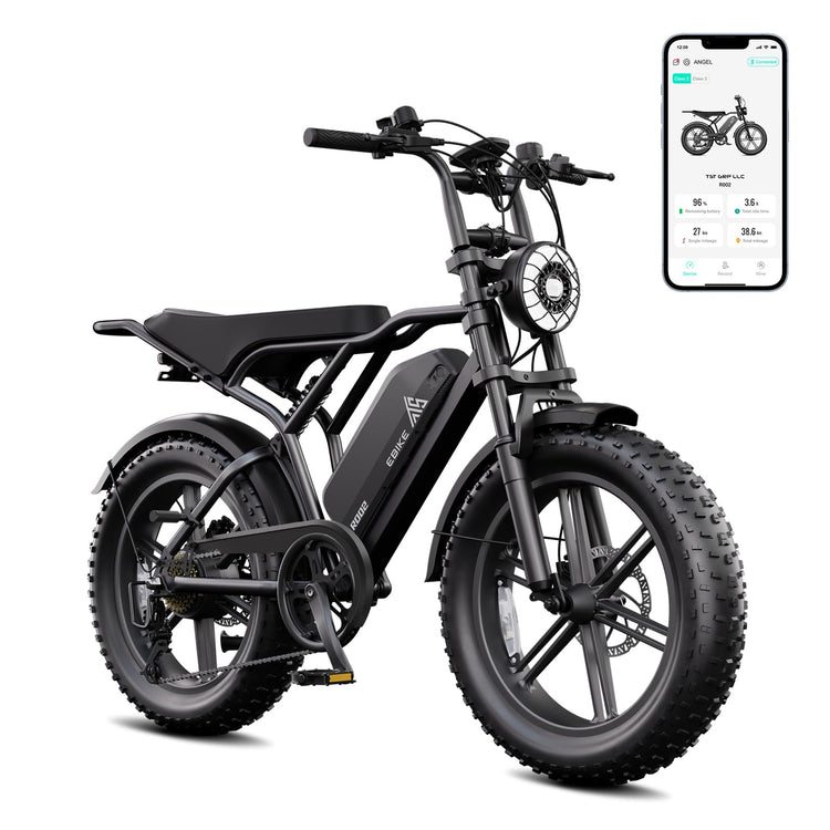 20 inch Fat Tyre Electric Bike, 48V 15Ah Removable Battery, Hydraulic Suspension, 7-Speed