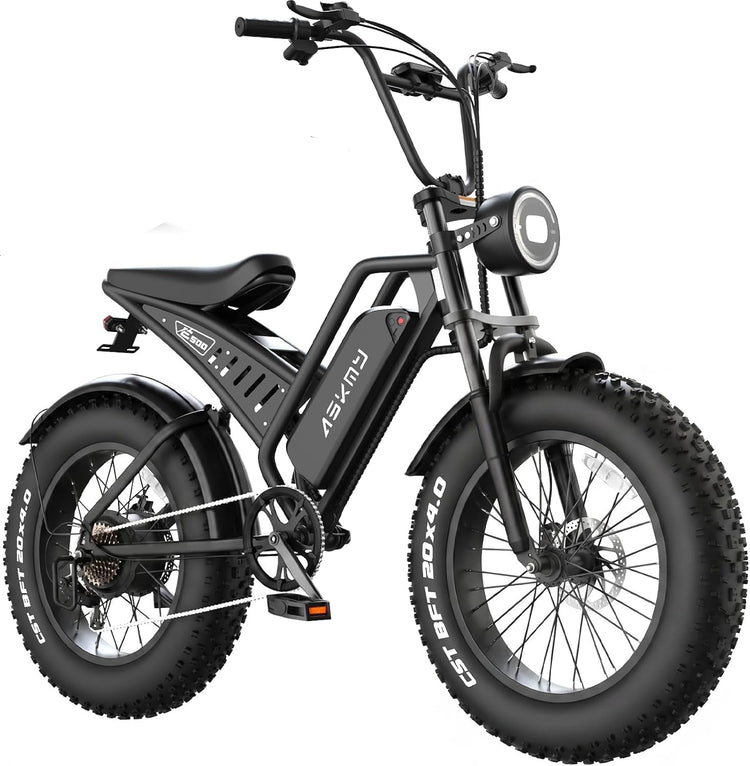 Electric Mountain Bike with 20-Inch Fat Tyres, 48V 15Ah Battery, 1500W Peak Motor, Dual Suspension