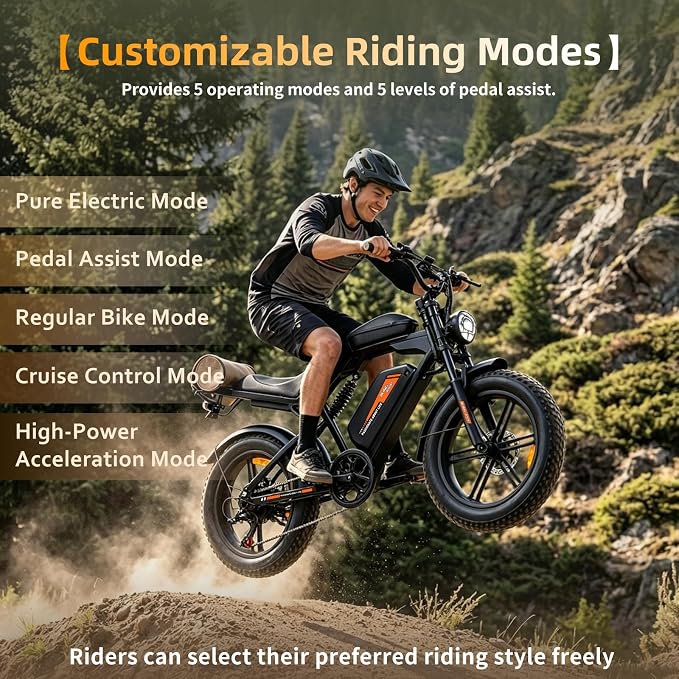 Electric Bike for Adults, 2500W Peak Motor, 48V 27AH Removable Battery