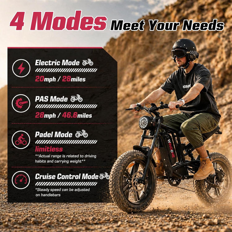 26-Inch Fat Tyre Electric Bike for Adults, 48V 13Ah Removable Battery, 1000W Peak Brushless Motor, Dual Suspension