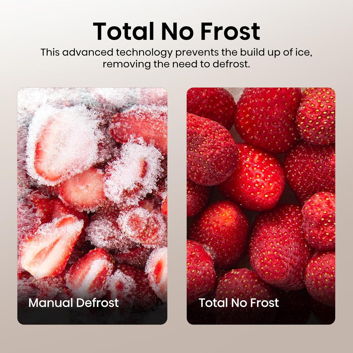 Freestanding Fridge Freezer 256L Frost Free White